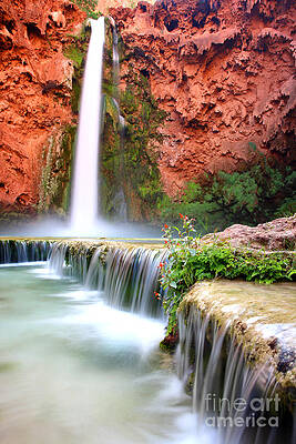 Wall Art - Photograph - Mooney Falls by Bill Singleton