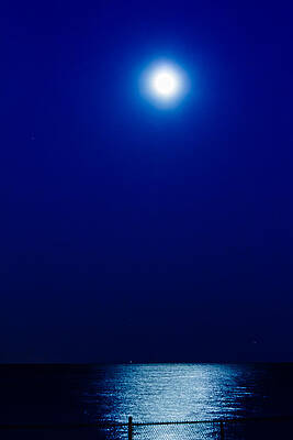 Wall Art - Photograph - Moonlight by SAURAVphoto Online Store