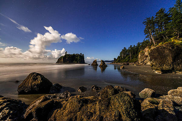 Wall Art - Photograph - Moonlit Ruby by Chad Dutson