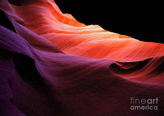 moonscape II by Dawn Bowery moonscape II by Dawn Bowery
