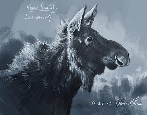 Wall Art - Digital Art - Moose Sketch by Aaron Blaise