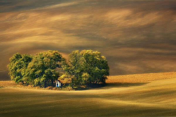 Wall Art - Photograph - Moravian Fields... by Krzysztof Browko