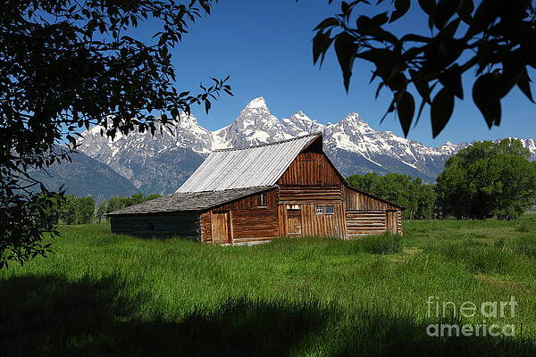 Wall Art - Photograph - Mormon Row Barn by Bill Singleton