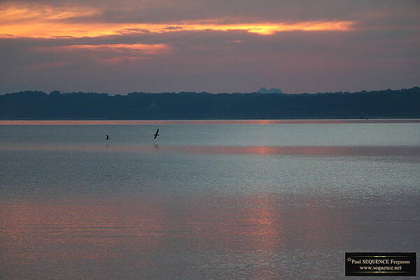 MORNING BEAUTY 1 by Y C MORNING BEAUTY 1 by Y C