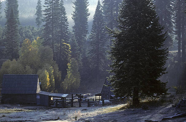 Morning Frost at Dawn by David Bailey Morning Frost at Dawn by David Bailey