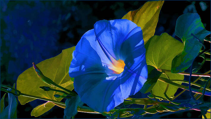 Cold Morning Light by Douglas MooreZart Cold Morning Light by Douglas MooreZart