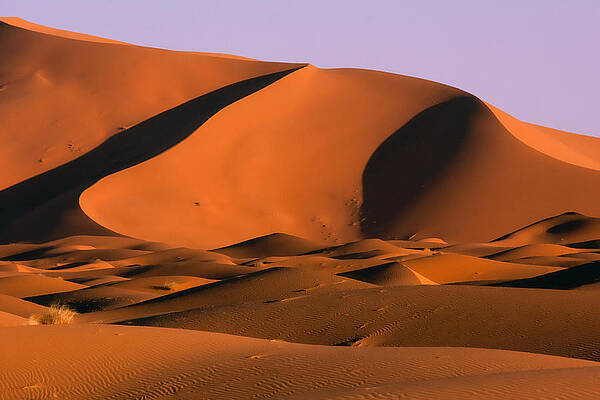 Morning Light by Phil Dyer Morning Light by Phil Dyer