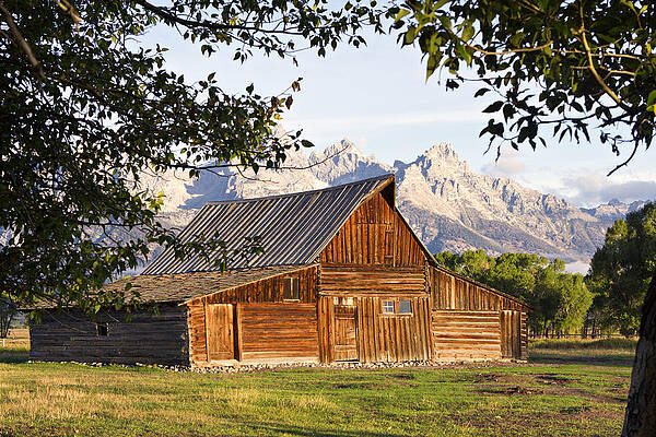 Morning Sunrise at Mormon Row by Skye Fassett