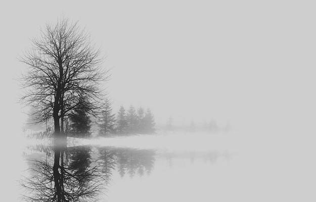 Morning view by Mihai Medves