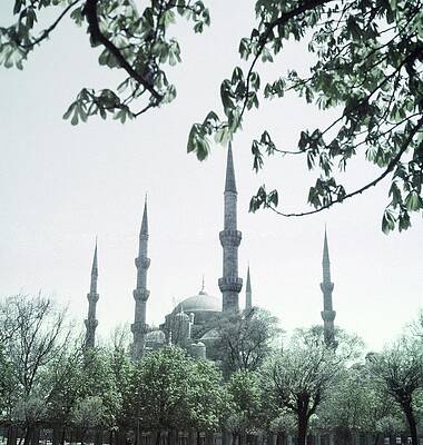 Wall Art - Photograph - Mosque Behind Trees In Turkey by Horst P. Horst