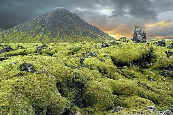 Wall Art - Photograph - Moss-covered Lava Field by Science Photo Library