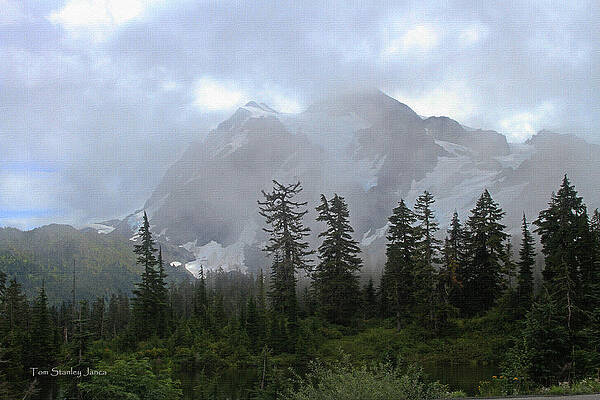 Wall Art - Photograph - Mount Baker In The Fog With A Few Fir Trees by Tom Janca