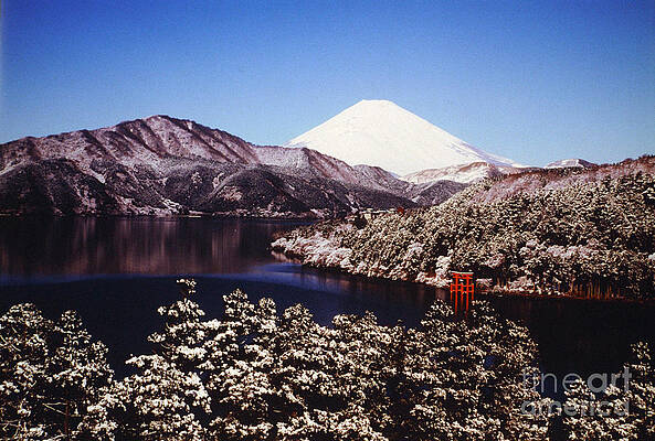 Wall Art - Photograph - Mount Fuji And Ashiniko Lake, Japan by Masao Hayashi