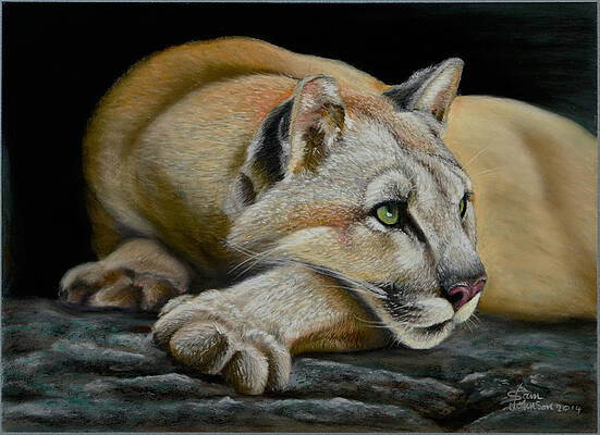 Mountain Lion by Sam Davis Johnson Mountain Lion by Sam Davis Johnson