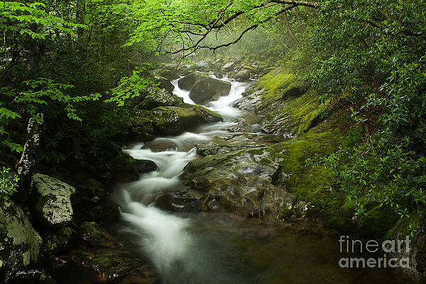 Mountain Stream 2010 by Matthew Turlington Mountain Stream 2010 by Matthew Turlington