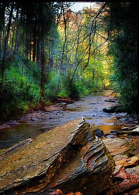Wall Art - Photograph - Mountain Stream in North Carolina Scenic Nature Photography Print by Bob Pardue