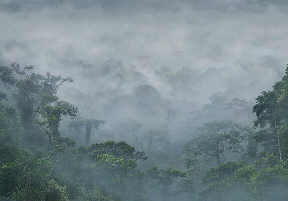 Wall Art - Photograph - Mountains And Rainforest In Fog by Per-Andre Hoffmann