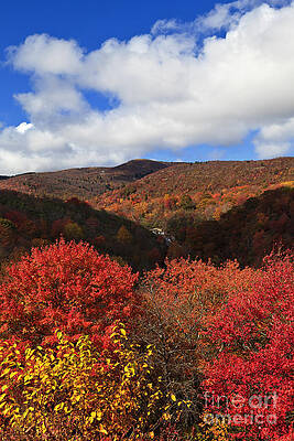 Wall Art - Photograph - Mountains at Graveyard Fields by Jill Lang