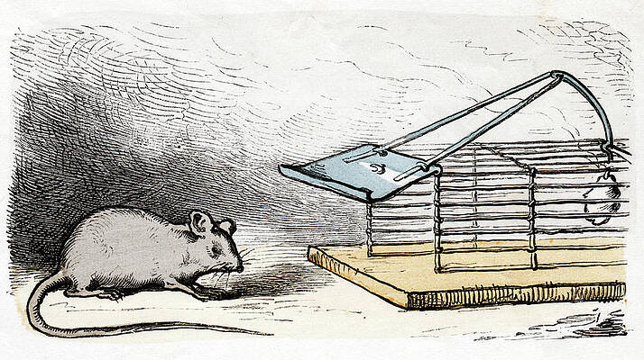 Better Mousetrap #1 Poster by CSA Images - Fine Art America