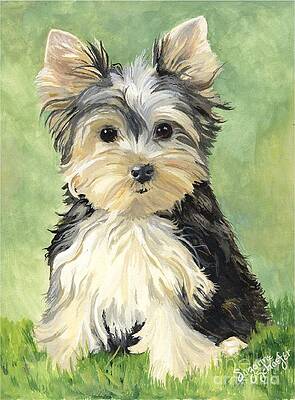 Moxie Roxie by Suzanne Schaefer Moxie Roxie by Suzanne Schaefer