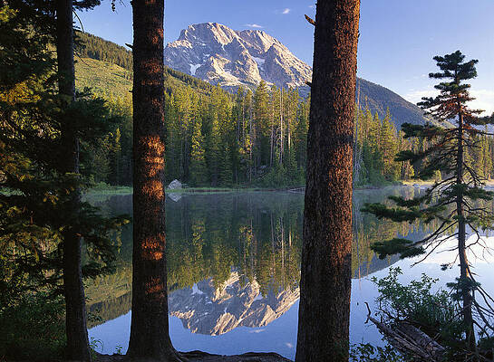 Wall Art - Photograph - Mt Moran And String Lake Wyoming by Tim Fitzharris