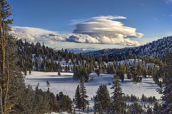 Mt. Rose Meadow near Lake Tahoe, Nevada by Steve Ellison Mt. Rose Meadow near Lake Tahoe, Nevada by Steve Ellison