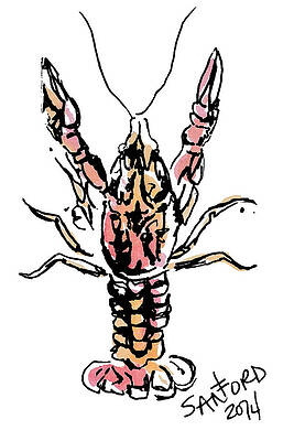 Mud Bug by Amanda Sanford Mud Bug by Amanda Sanford