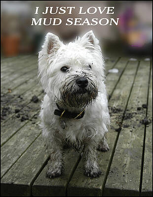 MUD SEASON by Geraldine Alexander MUD SEASON by Geraldine Alexander