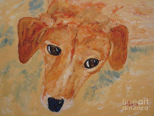Mugle Beagle by Shelley Jones Mugle Beagle by Shelley Jones