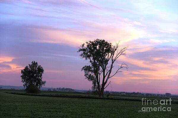 Wall Art - Photograph - Multiple color clouds in sky by Yumi Johnson