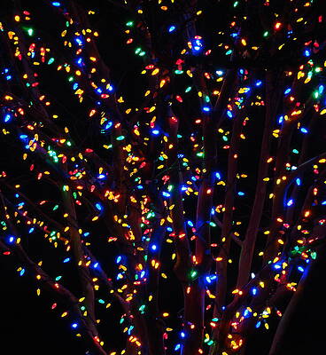 Multiple Colors by Rodney Lee Williams Multiple Colors by Rodney Lee Williams