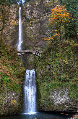 Wall Art - Photograph - Multnomah Falls by David Hart