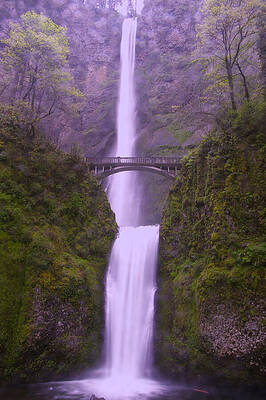 MULTNOMAH IN THE DRIZZLING RAIN by Jeff Swan MULTNOMAH IN THE DRIZZLING RAIN by Jeff Swan