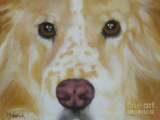 Murphy by M J Venrick Murphy by M J Venrick