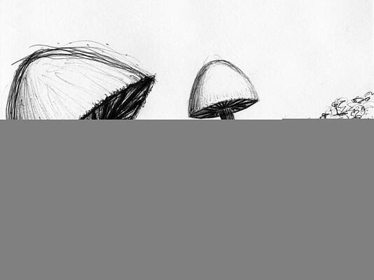 Mushrooms by Jennifer Atherton