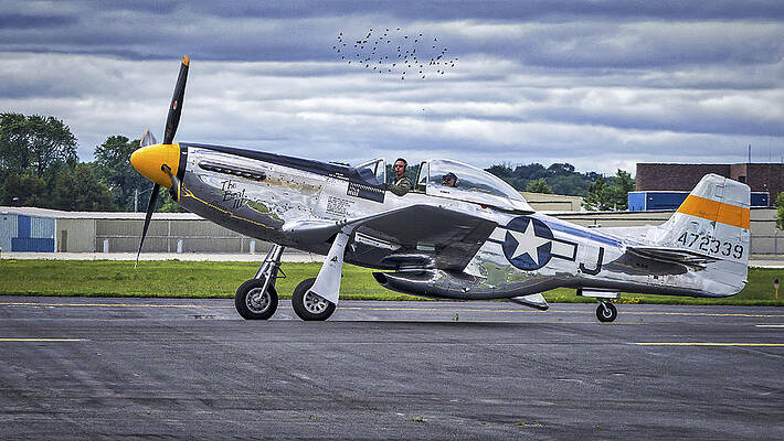 Wall Art - Photograph - Mustang P51 by Steven Ralser