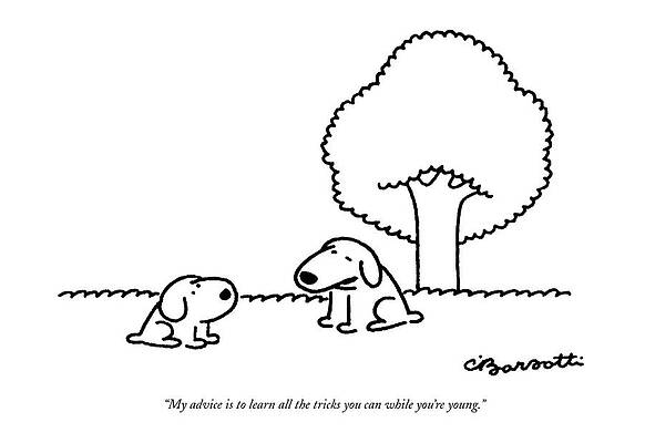 Wall Art - Drawing - My Advice Is To Learn All The Tricks by Charles Barsotti