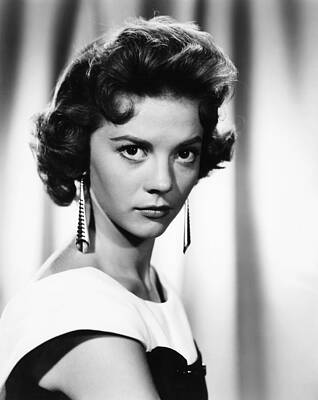 Wall Art - Photograph - Natalie Wood, Circa 1956 by Everett