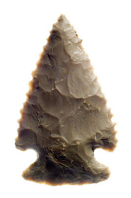 Wall Art - Photograph - Native American Arrowhead by Science Photo Library