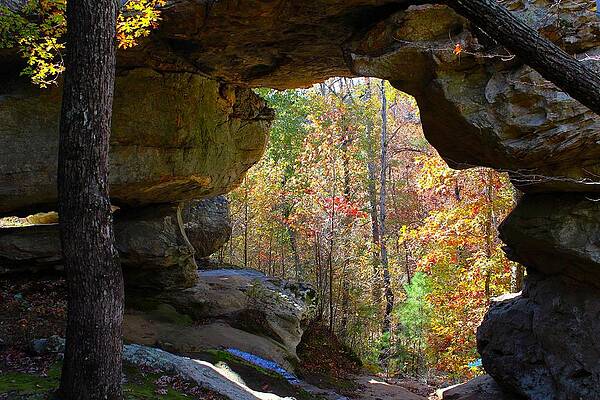Natural Bridge in Fall by Kevin Wheeler Natural Bridge in Fall by Kevin Wheeler
