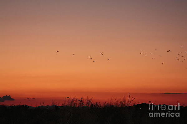 NATURAL COLORS by Rogerio Mariani NATURAL COLORS by Rogerio Mariani