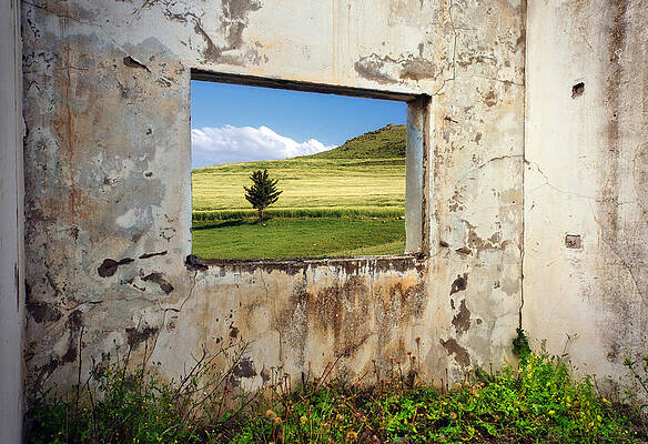 Natural Frame by Mohamed Aouichi