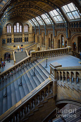 Wall Art - Photograph - Natural History Museum by Inge Johnsson