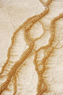 Natural Patterns by Beverly Hanson Natural Patterns by Beverly Hanson