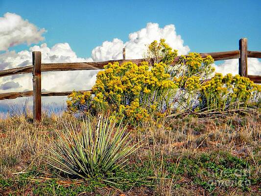 Nature by Michelle Frizzell-Thompson