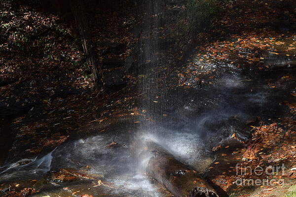 Nature's Serenity Spa by Gary Smith Nature's Serenity Spa by Gary Smith