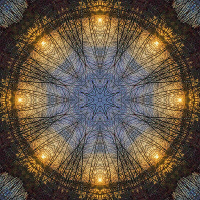 Wall Art - Photograph - Nature's Skylight Mandala 1 by Beth Venner
