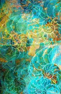 Nautilus Seashells In Aqua by Suzanne Powers Nautilus Seashells In Aqua by Suzanne Powers
