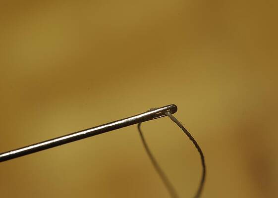 Needle and Thread by Billy Griffis Jr Needle and Thread by Billy Griffis Jr