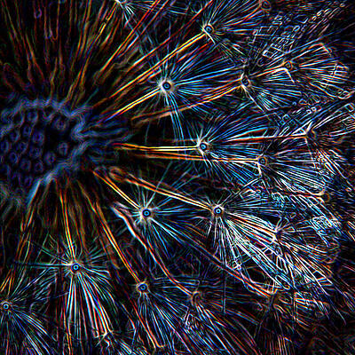 Wall Art - Mixed Media - Neon Dandelion by Ernest Echols